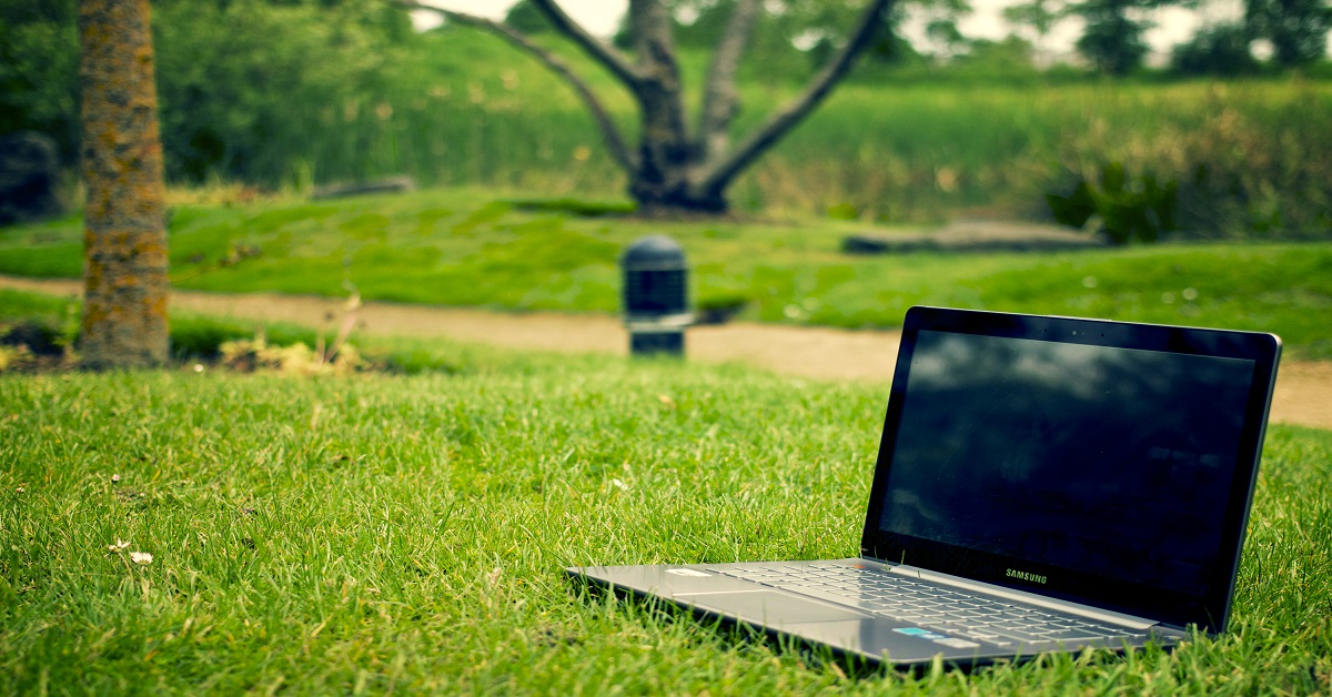 computer in a bush