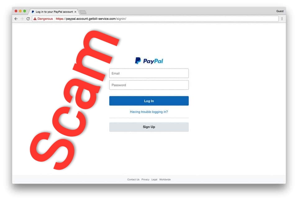 paypal phishing website