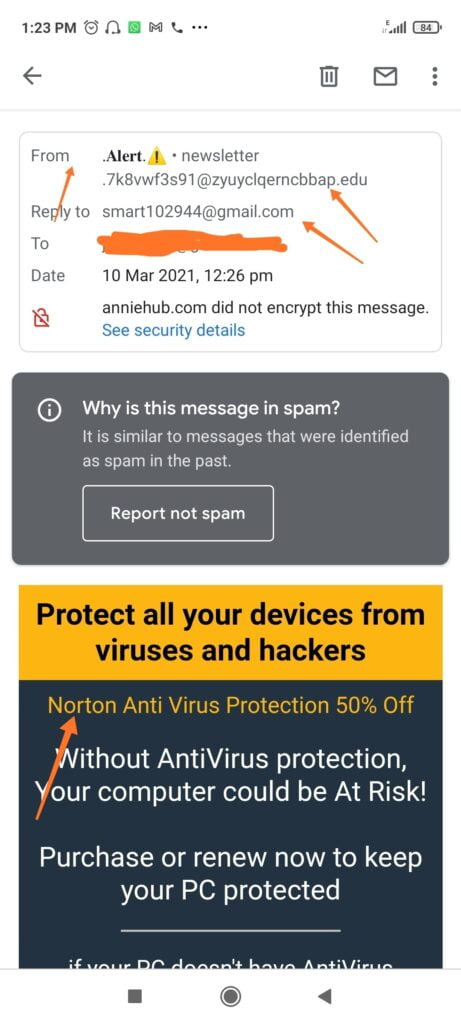 Phishing email for Norton